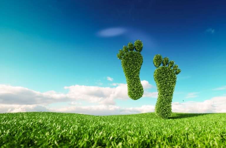 carbon balancing