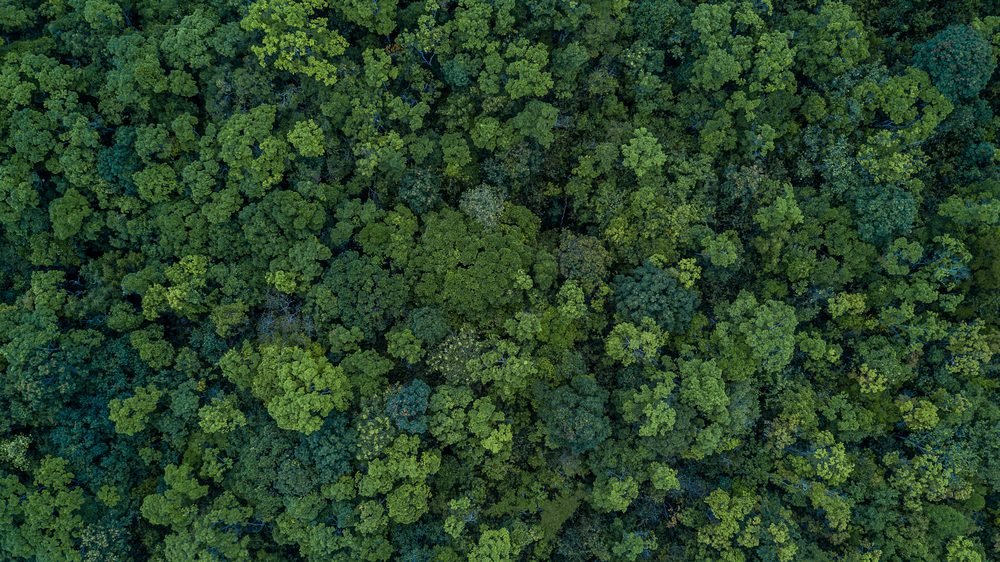 carbon offsetting awareness